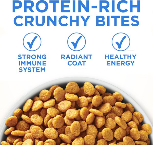 Show full view: Purina ONE +Plus Urinary Tract Formula Chicken Dry Cat Food, 1.8-kg bag slide 8 of 10