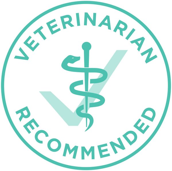 Show full view: Purina ONE +Plus Sensitive Systems Turkey Dry Cat Food, 3-kg bag slide 7 of 10