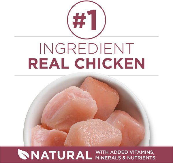 Show full view: Purina ONE +Plus Senior 7+ Chicken Dry Cat Food, 1.8-kg bag slide 4 of 10