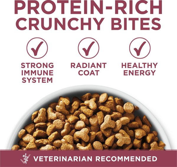 Show full view: Purina ONE +Plus Senior 7+ Chicken Dry Cat Food, 1.8-kg bag slide 8 of 10