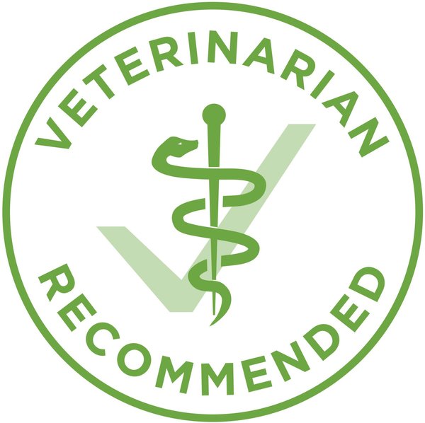 Show full view: Purina ONE +Plus Indoor Advantage Turkey Dry Cat Food, 1.8-kg bag slide 7 of 10