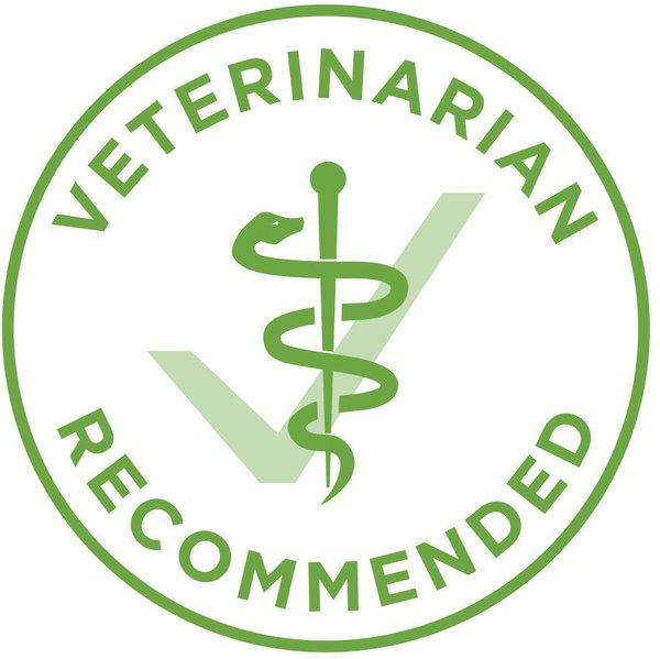 Show full view: Purina ONE +Plus Indoor Advantage Turkey Dry Cat Food, 7.2-kg bag slide 7 of 10