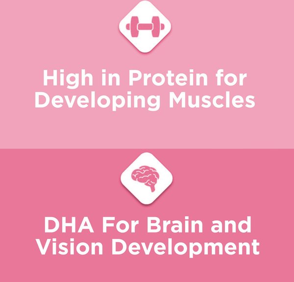 Show full view: Kitten Chow Advanced Nutrition Dry Kitten Food, 1.8-kg bag slide 4 of 10