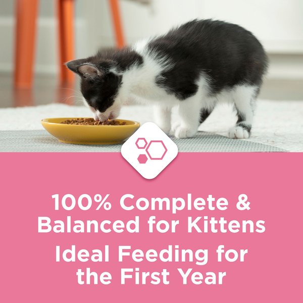 Show full view: Kitten Chow Advanced Nutrition Dry Kitten Food, 1.8-kg bag slide 6 of 10