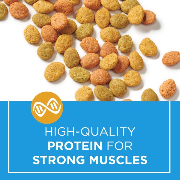 Show full view: Cat Chow Indoor Cat Food with Real Chicken Dry Cat Food, 1.6-kg bag slide 8 of 10