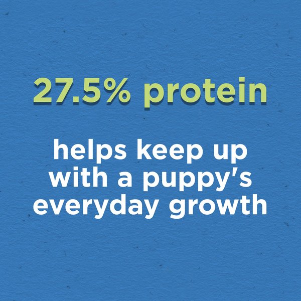 Show full view: Puppy Chow Complete with Real Chicken Dry Dog Food, 2-kg bag slide 3 of 10