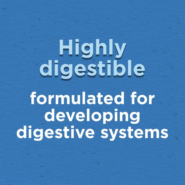 Show full view: Puppy Chow Complete with Real Chicken Dry Dog Food, 2-kg bag slide 5 of 10