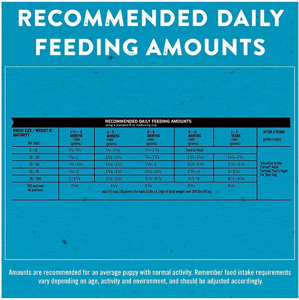 Show full view: Puppy Chow Complete with Real Chicken Dry Dog Food, 2-kg bag slide 9 of 10