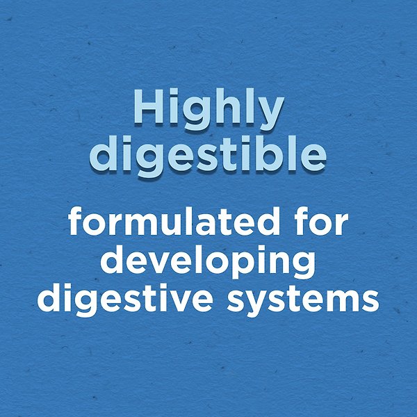 Show full view: Puppy Chow Complete with Real Chicken Dry Dog Food, 6.5-kg bag slide 5 of 10