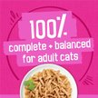 Show in main carousel: Friskies Shredded Variety Pack Wet Cat Food, 156-g can, case of 32 slide 6 of 10