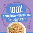 Show in main carousel: Friskies Shredded Turkey & Cheese Dinner in Gravy Wet Cat Food, 156-g can, case of 24 slide 6 of 12
