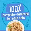 Show in main carousel: Friskies Shredded Ocean Whitefish & Tuna Wet Cat Food, 156-g can, case of 24 slide 6 of 12