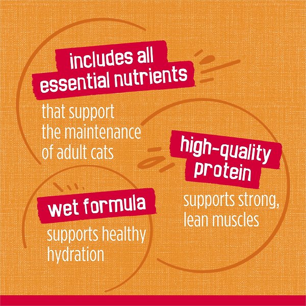 Show full view: Friskies Prime Filets with Chicken in Gravy Wet Cat Food, 156-g can, case of 24 slide 7 of 12