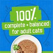 Show in main carousel: Friskies Pate Seafood Supreme Wet Cat Food, 156-g can, case of 24 slide 6 of 9
