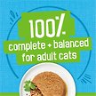 Show in main carousel: Friskies Pate Ocean Whitefish & Tuna Dinner Wet Cat Food, 156-g can, case of 24 slide 6 of 10