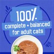 Show in main carousel: Friskies Pate Ocean Delights Variety Pack Wet Cat Food, 156-g, case of 24 slide 6 of 10