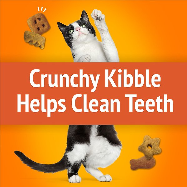 Show full view: Friskies Party Mix Original Crunch with Real Chicken Cat Treats, 454-g pouch slide 4 of 11