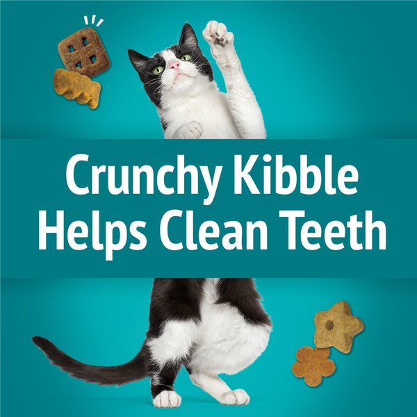 Show full view: Friskies Party Mix Meow Luau Crunch with Real Ocean Whitefish Cat Treats, 170-g pouch slide 4 of 11