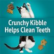 Show in main carousel: Friskies Party Mix Meow Luau Crunch with Real Ocean Whitefish Cat Treats, 170-g pouch slide 4 of 11