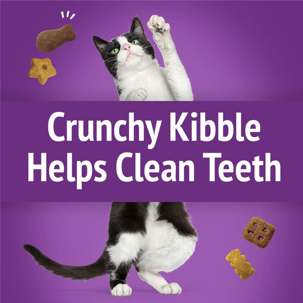 Show full view: Friskies Party Mix Kahuna Crunch with Real Ocean Whitefish Cat Treats, 170-g pouch slide 4 of 9