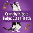 Show in main carousel: Friskies Party Mix Kahuna Crunch with Real Ocean Whitefish Cat Treats, 170-g pouch slide 4 of 9
