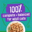 Show in main carousel: Friskies Indoor Saucy Seafood Bake with Garden Greens in Sauce Wet Cat Food, 156-g can, case of 24 slide 6 of 11