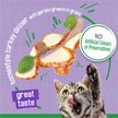 Show in main carousel: Friskies Indoor Homestyle Turkey Dinner with Garden Greens in Gravy Wet Cat Food, 156-g can, case of 24 slide 5 of 11