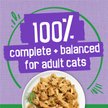 Show in main carousel: Friskies Indoor Homestyle Turkey Dinner with Garden Greens in Gravy Wet Cat Food, 156-g can, case of 24 slide 6 of 11