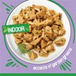 Show in main carousel: Friskies Indoor Homestyle Turkey Dinner with Garden Greens in Gravy Wet Cat Food, 156-g can, case of 24 slide 9 of 11