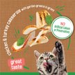 Show in main carousel: Friskies Indoor Chunky Chicken & Turkey Casserole with Garden Greens in Gravy Wet Cat Food, 156-g can, case of 24 slide 5 of 11