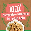 Show in main carousel: Friskies Indoor Chunky Chicken & Turkey Casserole with Garden Greens in Gravy Wet Cat Food, 156-g can, case of 24 slide 6 of 11