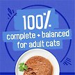 Show in main carousel: Friskies Greatest Hits Variety Pack Wet Cat Food, 156-g, case of 32 slide 6 of 10