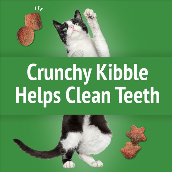 Show full view: Friskies Party Mix Gravy-licious Crunch Turkey & Gravy Flavours Cat Treats, 170-g pouch slide 4 of 11