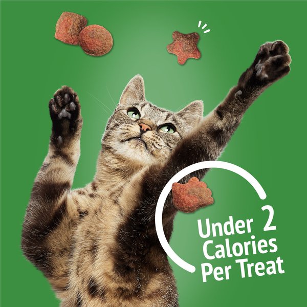 Show full view: Friskies Party Mix Gravy-licious Crunch Turkey & Gravy Flavours Cat Treats, 170-g pouch slide 5 of 11