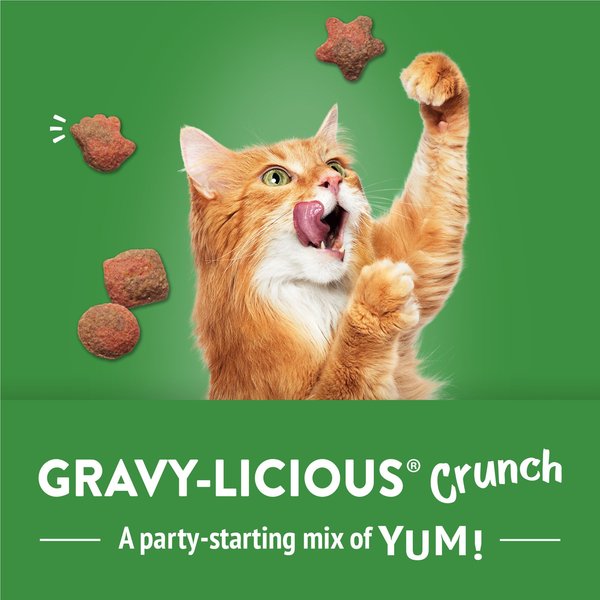 Show full view: Friskies Party Mix Gravy-licious Crunch Turkey & Gravy Flavours Cat Treats, 170-g pouch slide 8 of 11