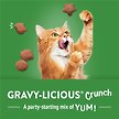 Show in main carousel: Friskies Party Mix Gravy-licious Crunch Turkey & Gravy Flavours Cat Treats, 170-g pouch slide 8 of 11
