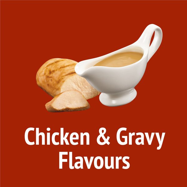 Show full view: Friskies Party Mix Gravy-licious Crunch Chicken & Gravy Flavours Cat Treats, 454-g pouch slide 3 of 11