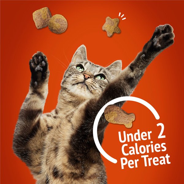 Show full view: Friskies Party Mix Gravy-licious Crunch Chicken & Gravy Flavours Cat Treats, 454-g pouch slide 5 of 11
