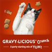 Show in main carousel: Friskies Party Mix Gravy-licious Crunch Chicken & Gravy Flavours Cat Treats, 454-g pouch slide 8 of 11