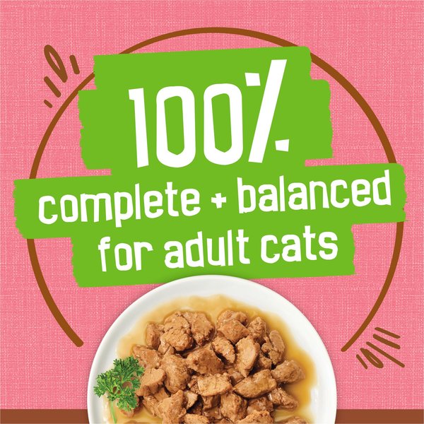 Show full view: Friskies Extra Gravy Chunky with Salmon in Savoury Gravy Wet Cat Food, 156-g can, case of 24 slide 6 of 10