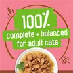 Show in main carousel: Friskies Extra Gravy Chunky with Salmon in Savoury Gravy Wet Cat Food, 156-g can, case of 24 slide 6 of 10