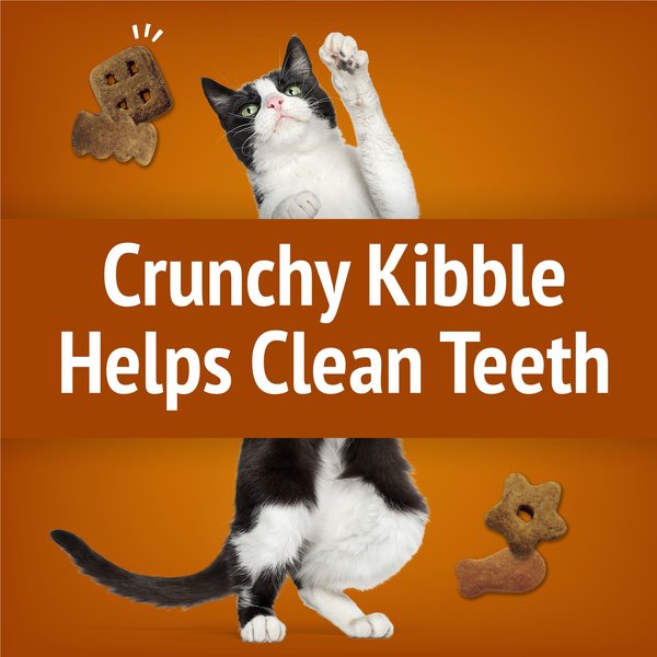 Show full view: Friskies Party Mix Chicken Lovers Crunch with Real Chicken Cat Treats, 170-g pouch slide 4 of 10