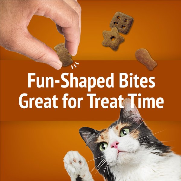 Show full view: Friskies Party Mix Chicken Lovers Crunch with Real Chicken Cat Treats, 170-g pouch slide 6 of 10