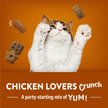 Show in main carousel: Friskies Party Mix Chicken Lovers Crunch with Real Chicken Cat Treats, 170-g pouch slide 8 of 10