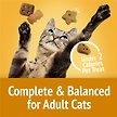 Show in main carousel: Friskies Party Mix Cheezy Craze Crunch with Real Cheese Cat Treats, 170-g pouch slide 5 of 11