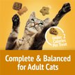 Show in main carousel: Friskies Party Mix Cheezy Craze Crunch with Real Cheese Cat Treats, 454-g pouch slide 5 of 11