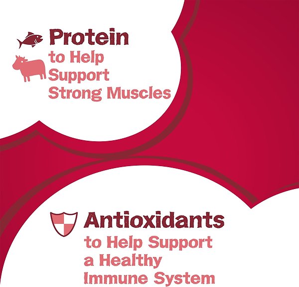 Show full view: Friskies 7 Dry Cat Food, 1.42-kg bag slide 5 of 9