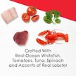 Show in main carousel: Fancy Feast Seafood Bisque with Accents of Real Lobster Cat Food Complement, 40-g pouch, case of 16 slide 2 of 11