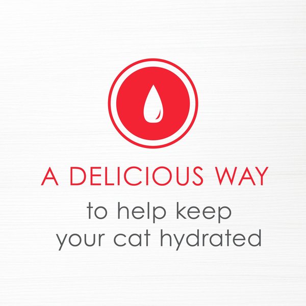 Show full view: Fancy Feast Seafood Bisque with Accents of Real Lobster Cat Food Complement, 40-g pouch, case of 16 slide 5 of 11