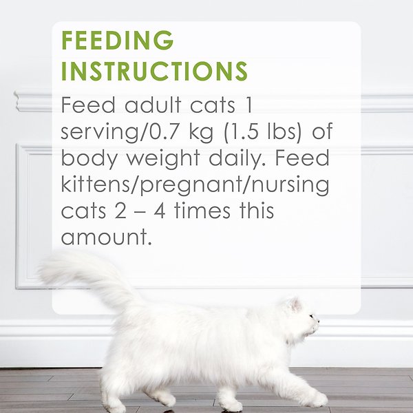 Show full view: Fancy Feast Petites Pate Braised Chicken Entree Wet Cat Food, 79.4-g tray, case of 12 slide 9 of 11